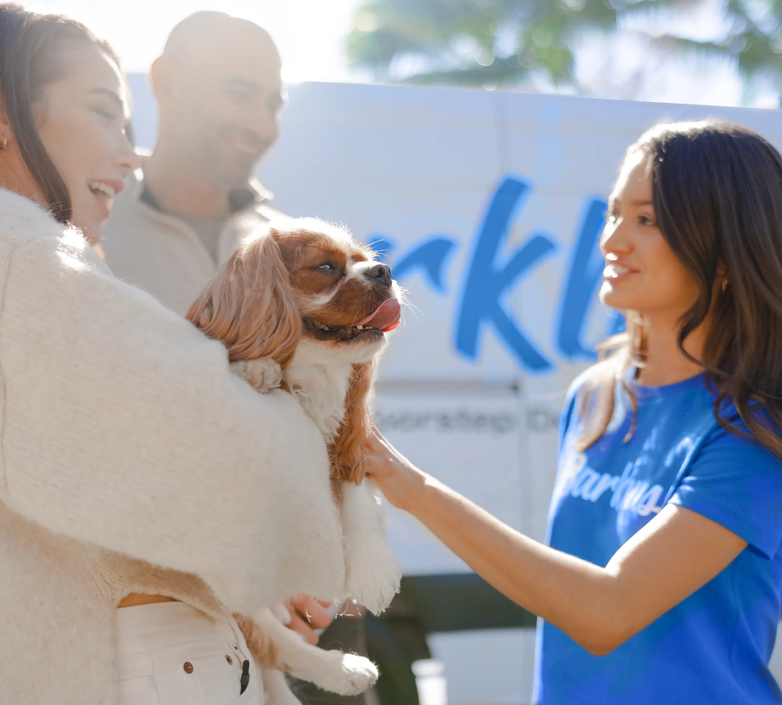Barkbus mobile grooming website preview